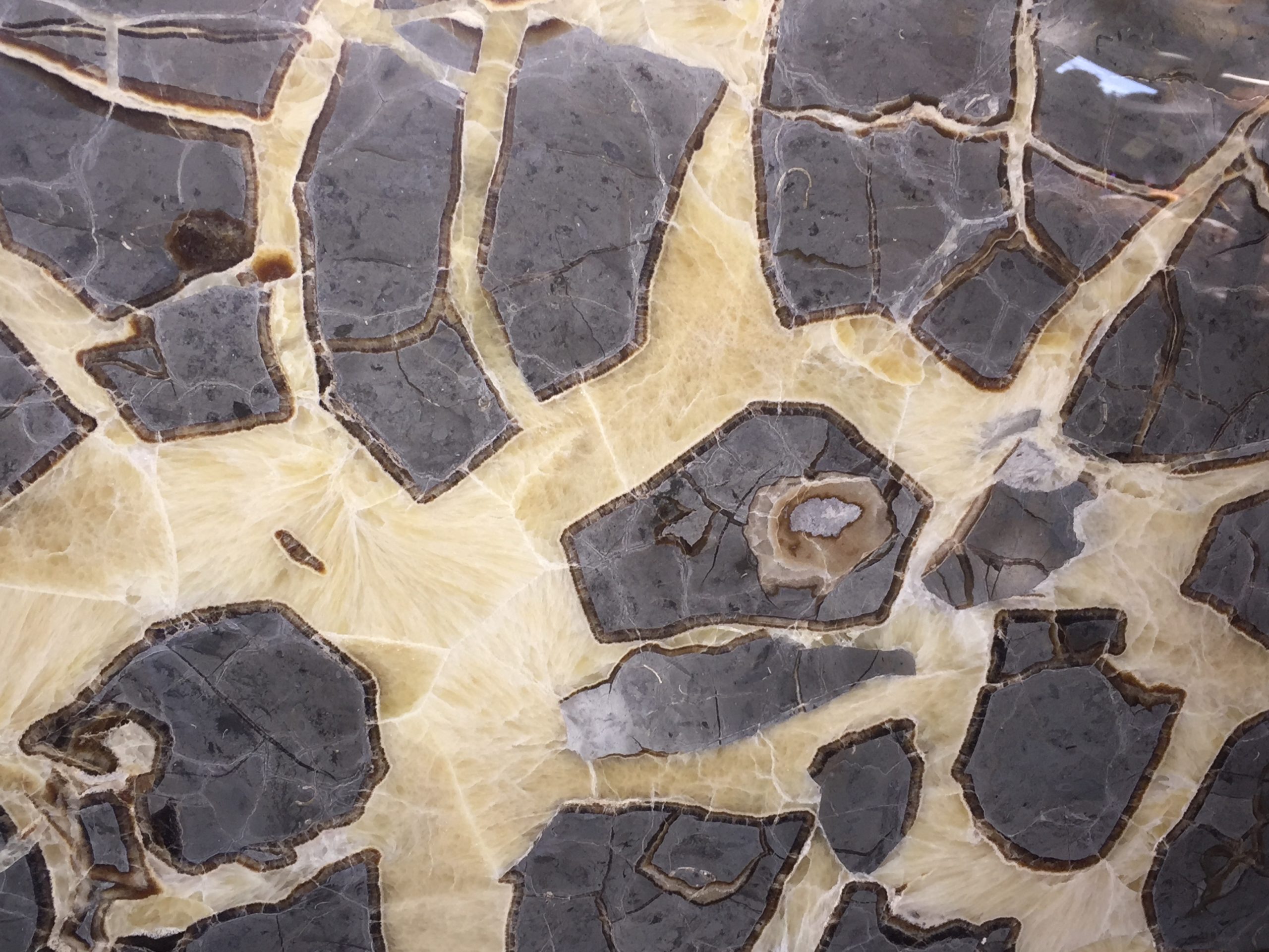 Septarian nodule close up