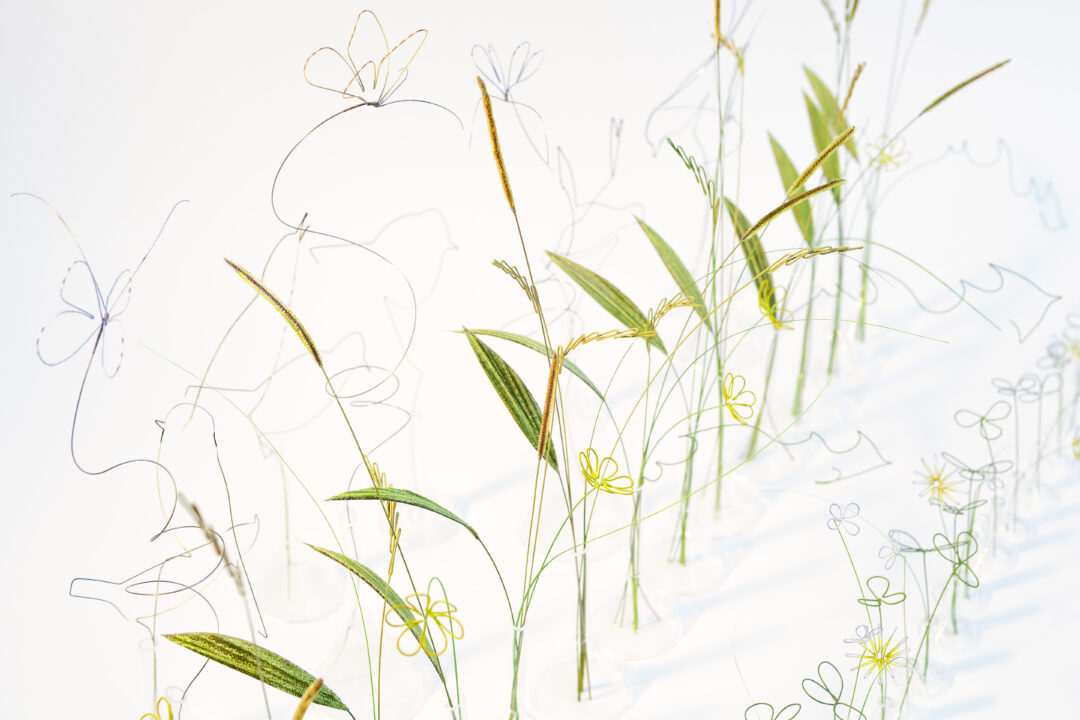 Bridget Bailey Textile Grasses