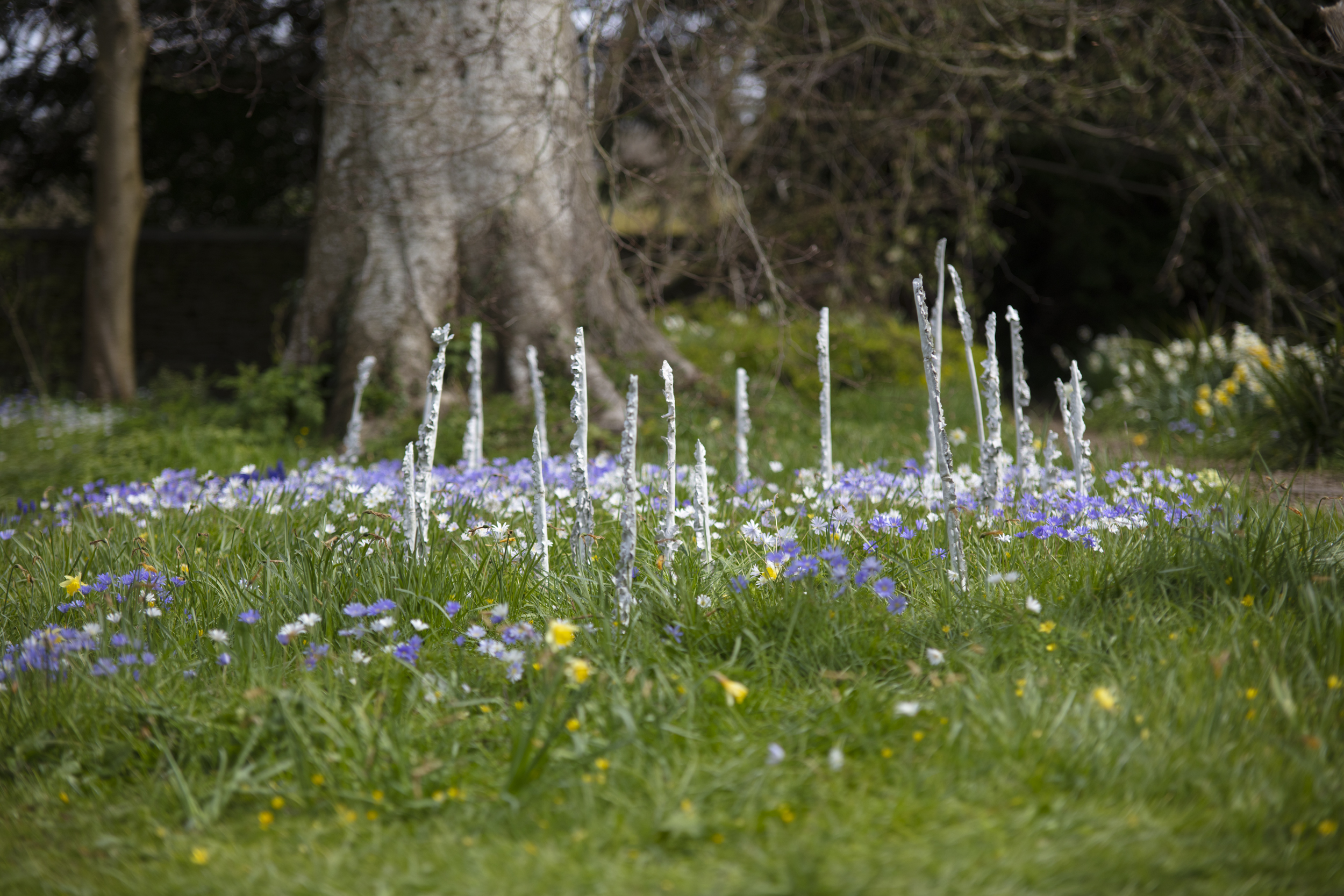 Curator’s News – Installation at The Old Rectory Gardens