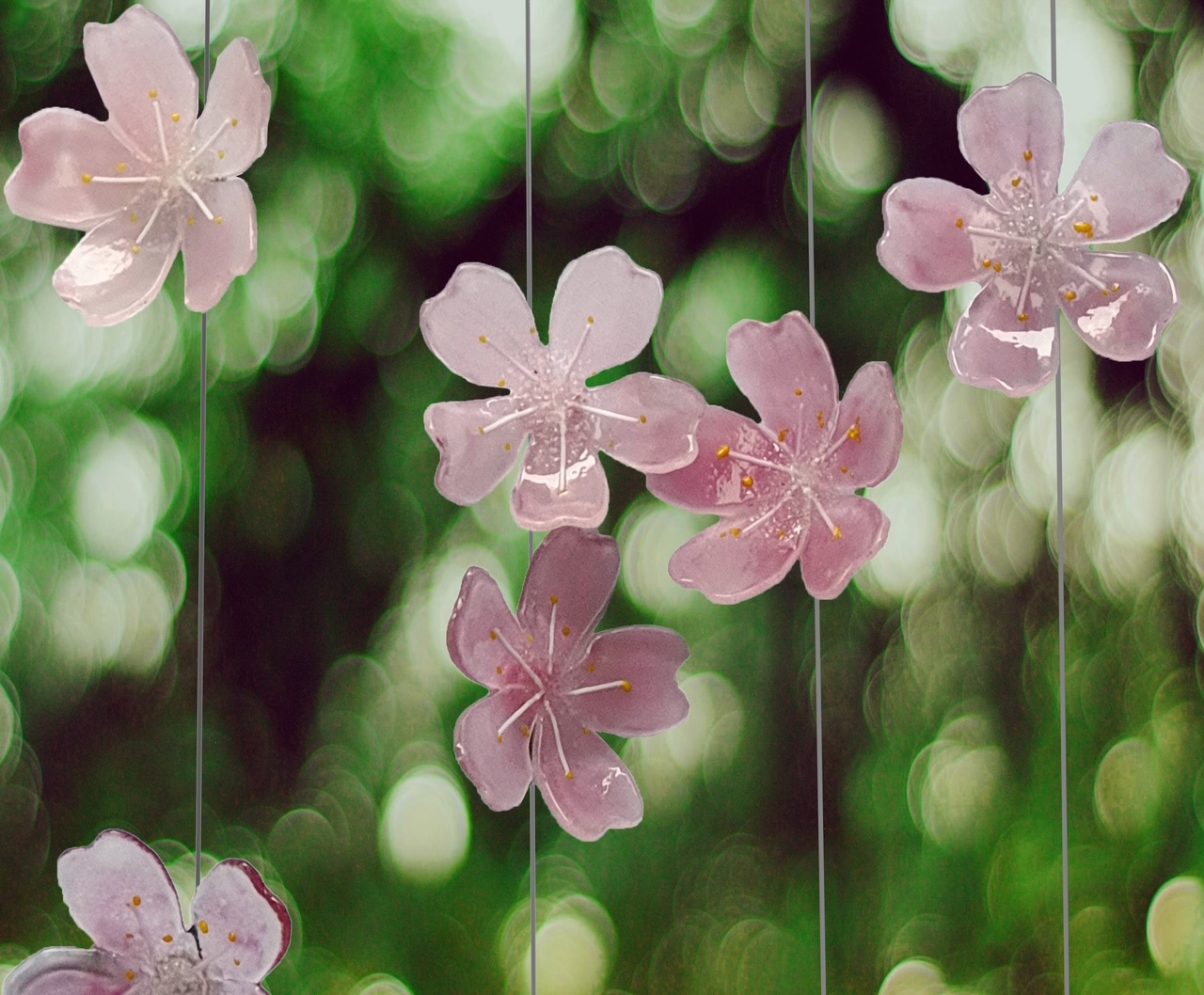 Fleeting Cherry Blossoms