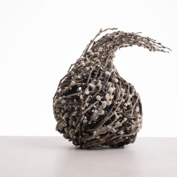 Clare Shilvock