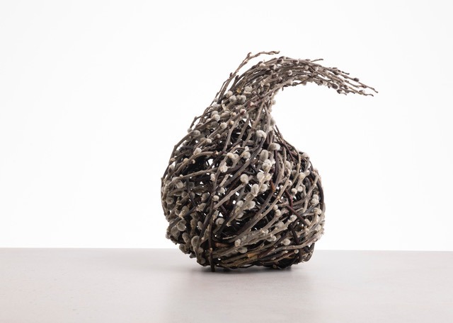 Clare Shilvock
